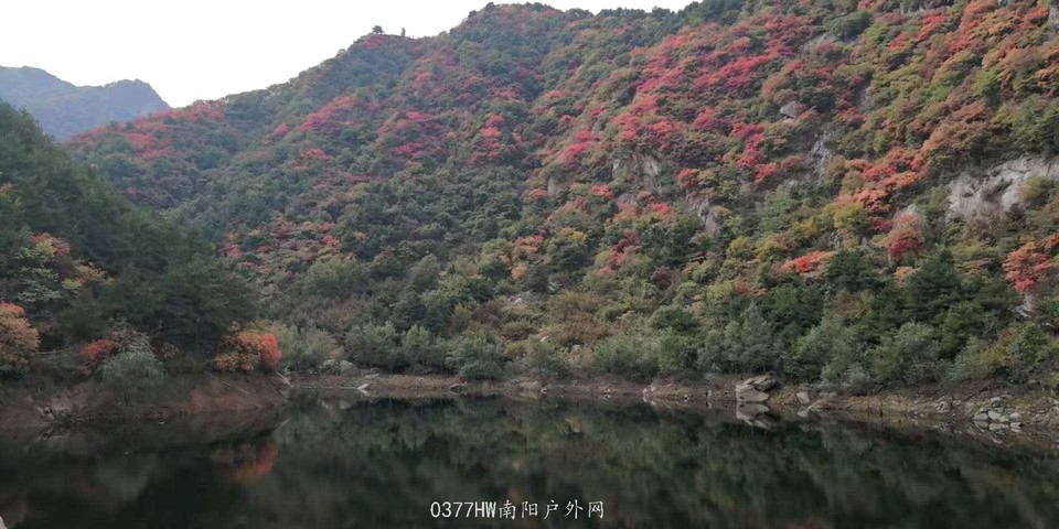 i2Aqw9a-j5se7fvPxDEBbaLYt_459ND1bG9h01JvJZS6oM6pdJB5rtfzPrGgWXX1