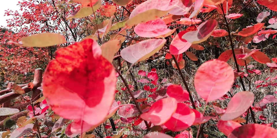 XpKr7Pzg3HrTW0fqoUpg_0M2jP12j4Y6HyyBvHKjkFzxZ5I69aDS4ro9-h4ySFSa