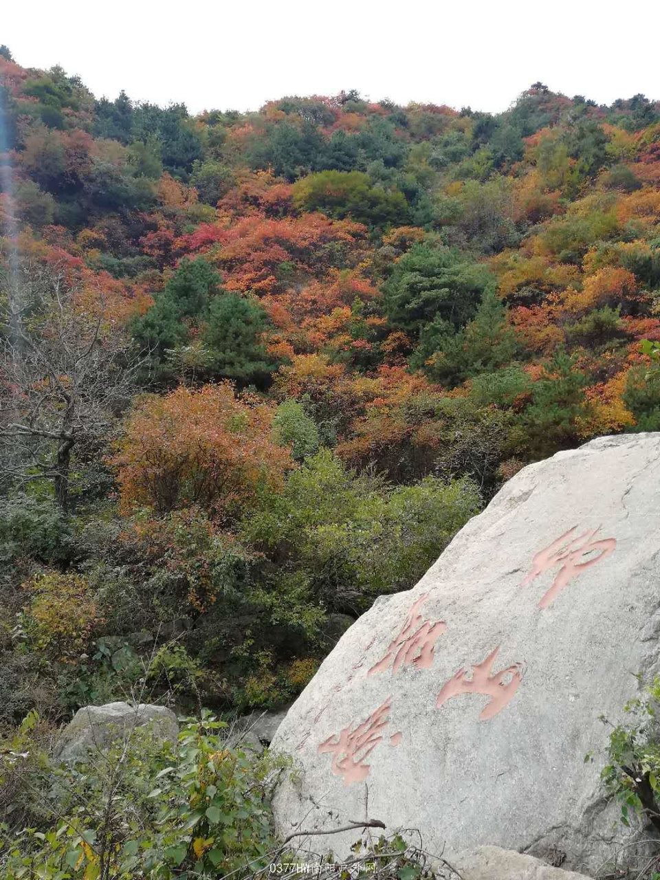 wTs5hSIus8UyGT6N3j7gJh54NjvTUMr4om7yXTm1EYM9VGppaNCnHD1YP6d74NLr