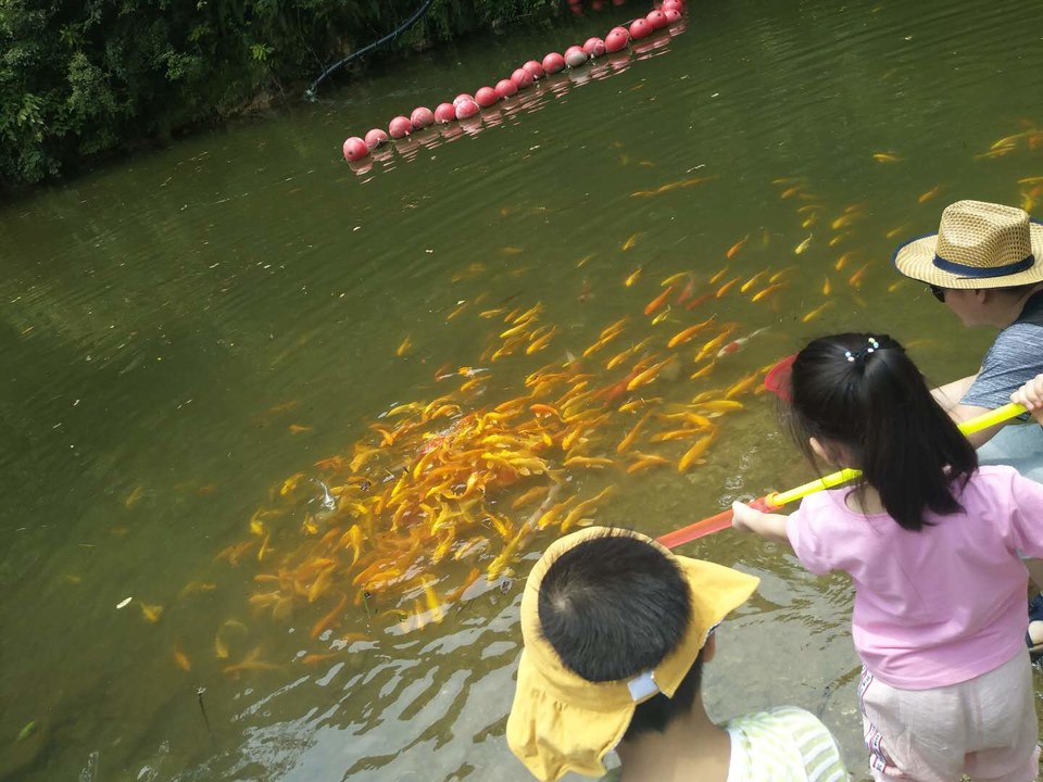 uJEf5sL0_N4L1rtWJgwWoUh0GrZAha5dEas7_qL-yl_ykzbfiMOiybJZjoSppZhp