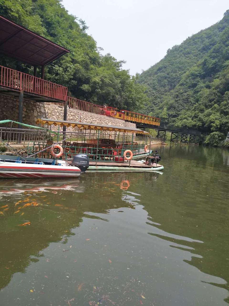 VFr0zpKOA_rZx8tYT4P_jrmTcmc7y644cSpJZ8ZwmLTbUBHislzBkWOq9tmaHlo-