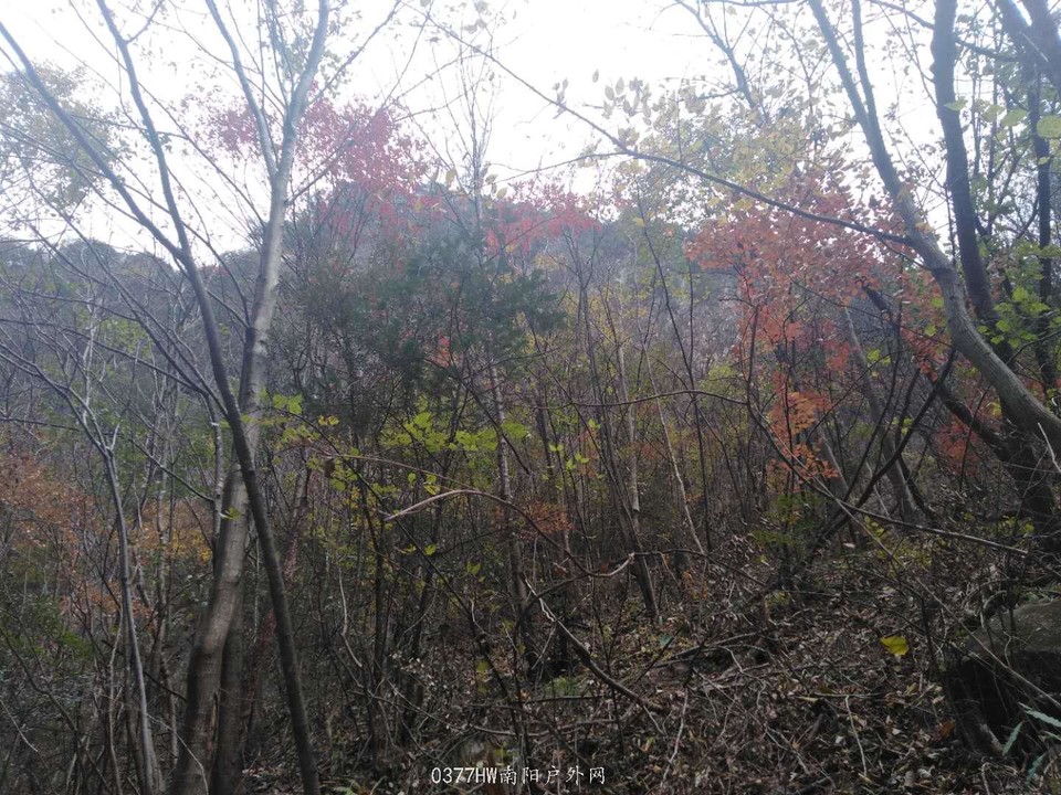 COcg6miZTGqmKfLnWvarKeGbHK50q16h_a8phDzWgFAAirVdjl94F5JrbiC9fCNx