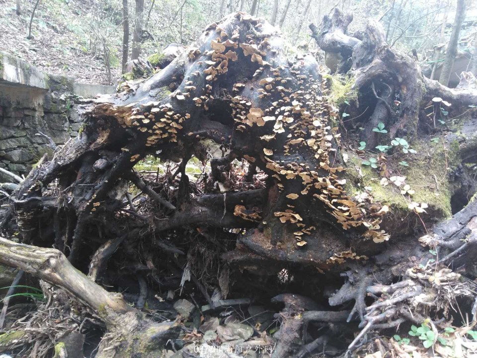 ccWPm0d4nEoyqS01np-s0N7bYRmv9uewoWK7xsy8-v2GC7I9a-AhXJiX8_7pXJbK