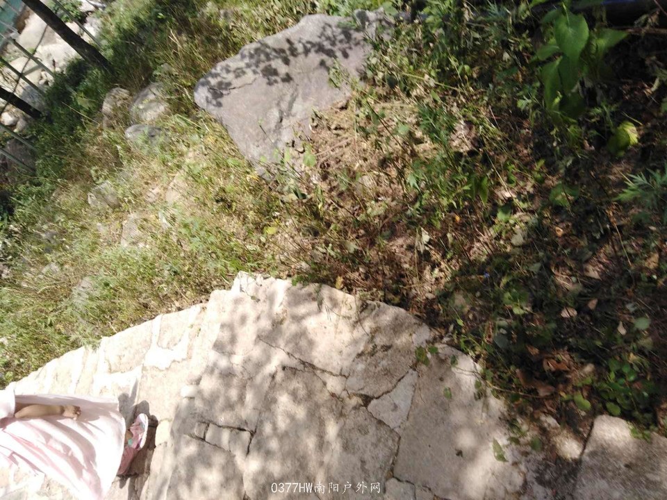 0rKuZwWVgv0EcvYLm5YUh2FtBo9tY9SReDD7zn8dRYxKUKZL8bg0s8AYtlPQDnvr