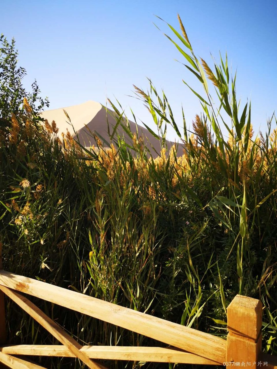 RmLJ0_3pvSBbaNXclzDTsOOWIYoaM6JN0K8PEnIWZvhF3DlAYbi1Lnw2U1dyo1ij