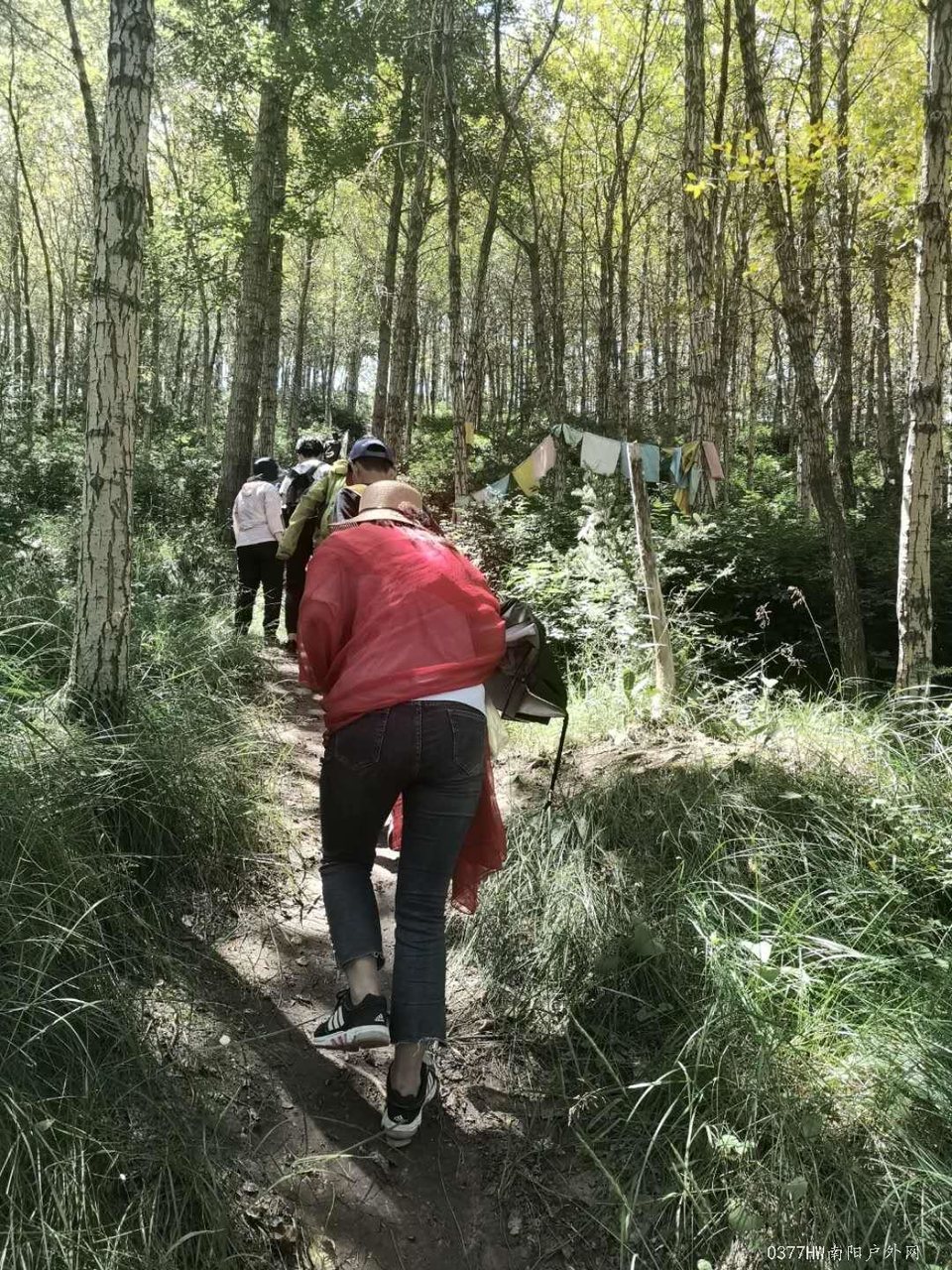 6zQP288CZVMouiq3L2aXWbmYGgJBExtFsyZq89rr3CS5cfhpIJoL3p69UGSlq3bv