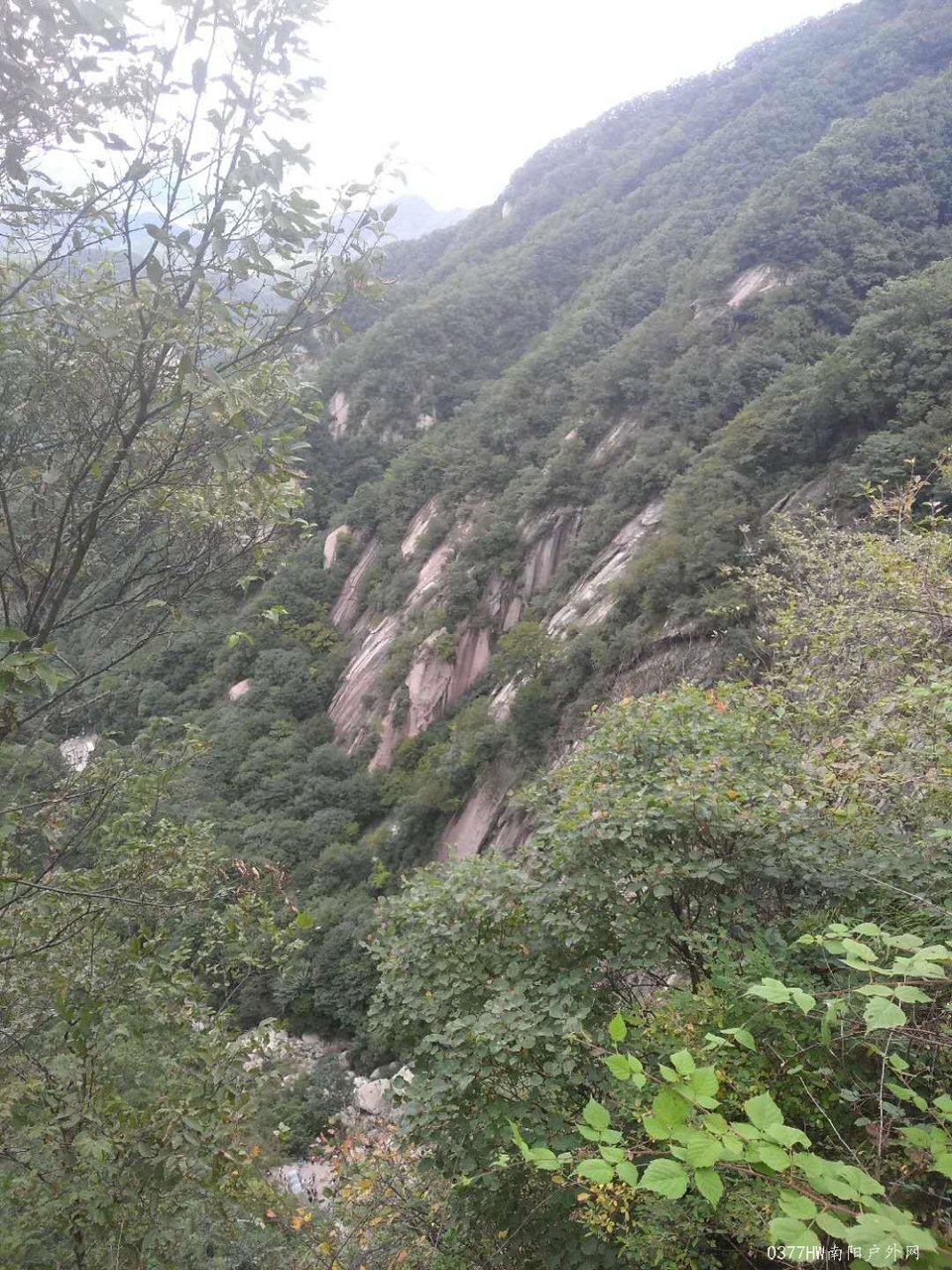 9BccBii6KjHiCD1rogfCOZ9dKJz-ucegM-wePstzlvB8eDb0HYtLxGBYaW41H9Rf