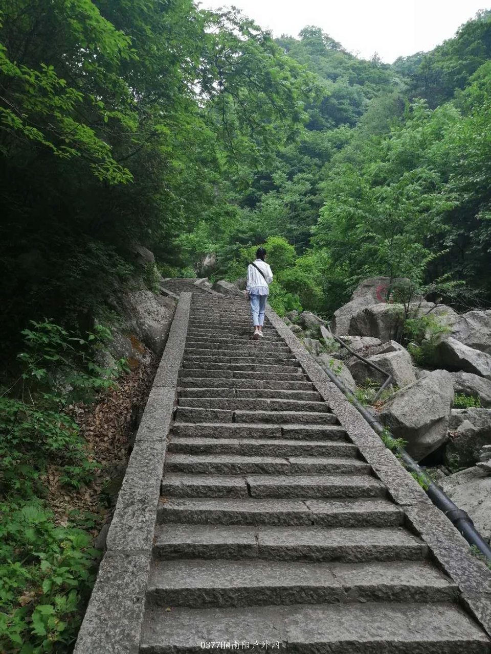 xs8LE5oD-mXN35q7Bl3BihT-CxacbxVU11Snm0JEabBud0bv_28na60s1JeLfyOV