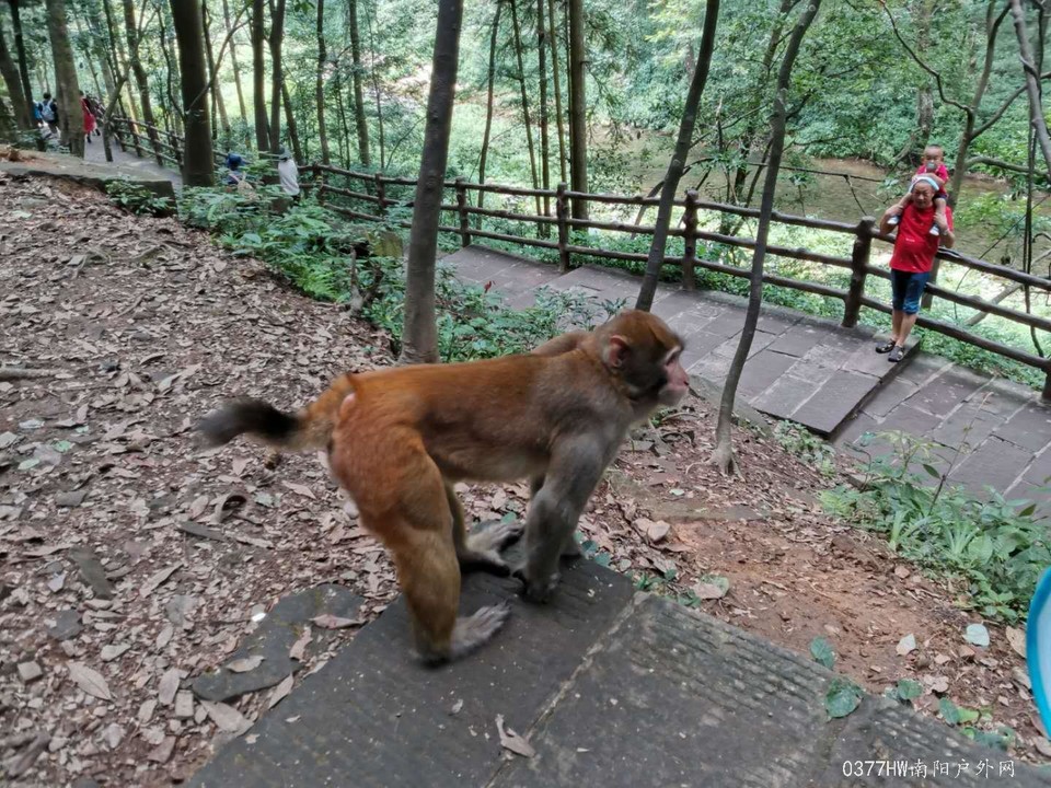 jpimvlgeF5q53LB1Jlm3u8NnlnRwpSXxbvhBAljs8m0PTT_mt2f5CtmrzuhNAFaQ