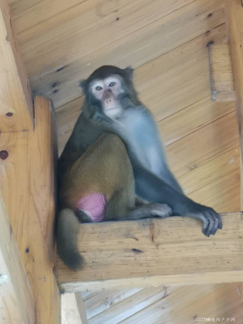 XHcgalv8q9KLaDBMx6-NvGhxoEhR3mnEh8JSyP9whHh8Q7GXSffMc2742-2cD5vs