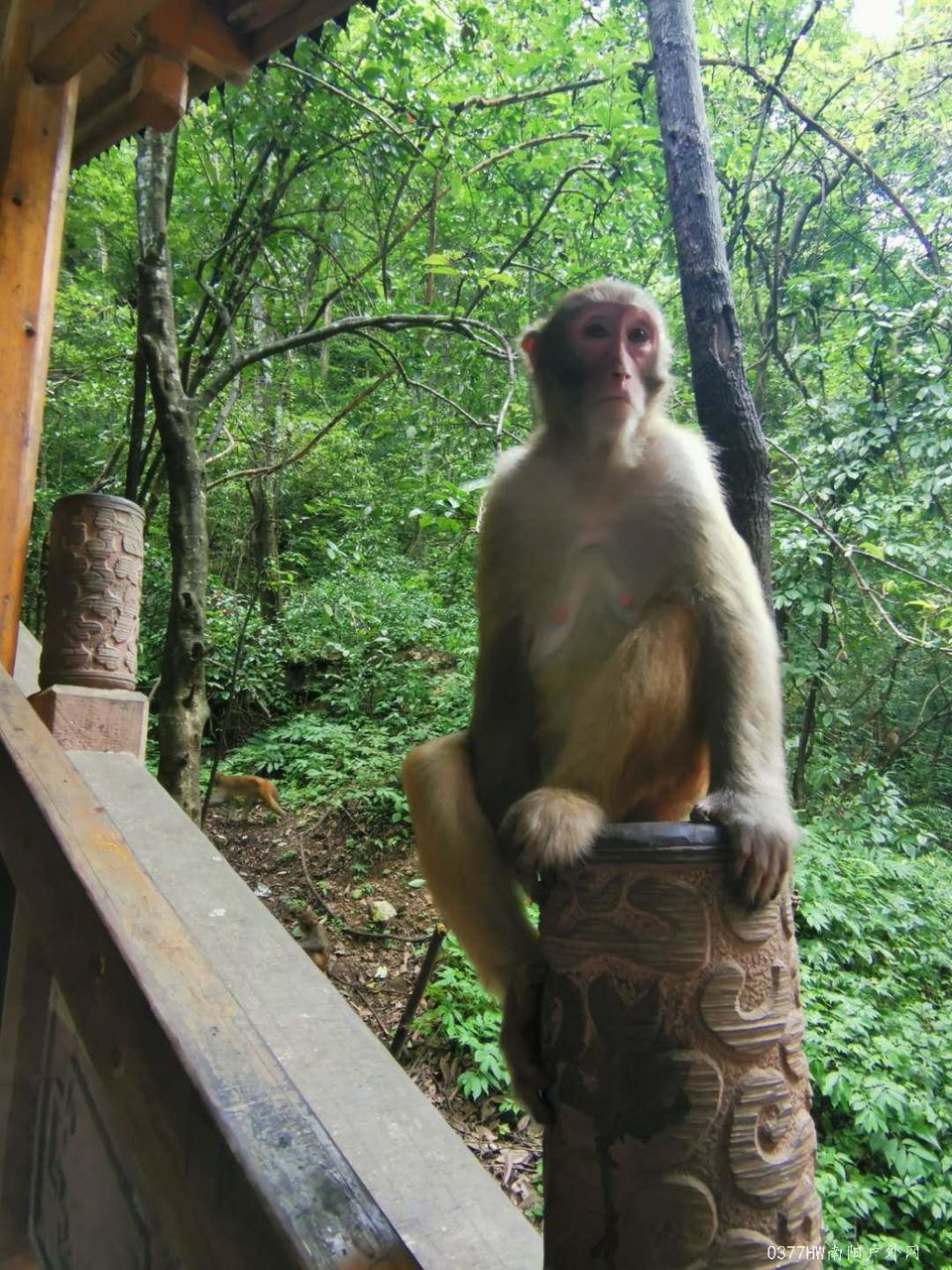 350-McsscsjeCAoaLMMOYcRBVhOTfl7AUW2ZAHR-WrwCJJfu2h77LxP6TK9Ei0BG