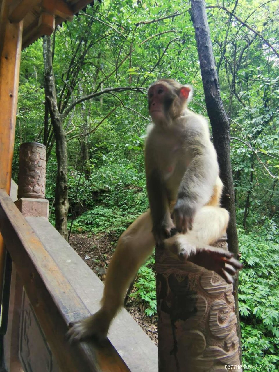 6KqPOrcgB8KG3ZvKmGQRUSWX9MCildB2lCmascC-s6BrdXQtu_7suHDhaS8NaNHb