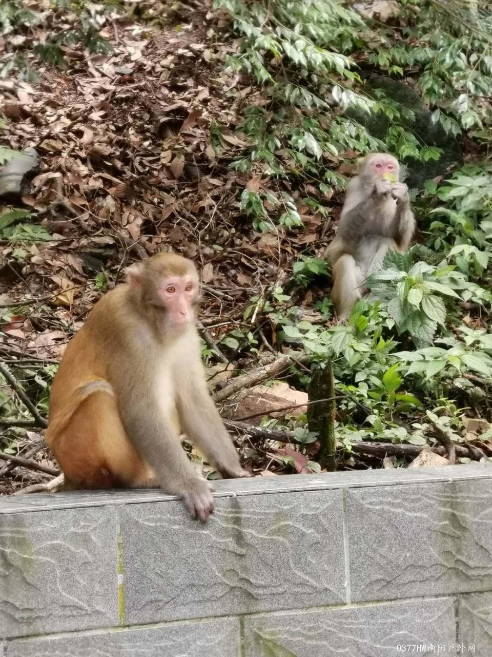 jpimvlgeF5q53LB1Jlm3u9LKBP1BvupVtzErZstjlZKzaDUjrgycysDy5KchU3Lj