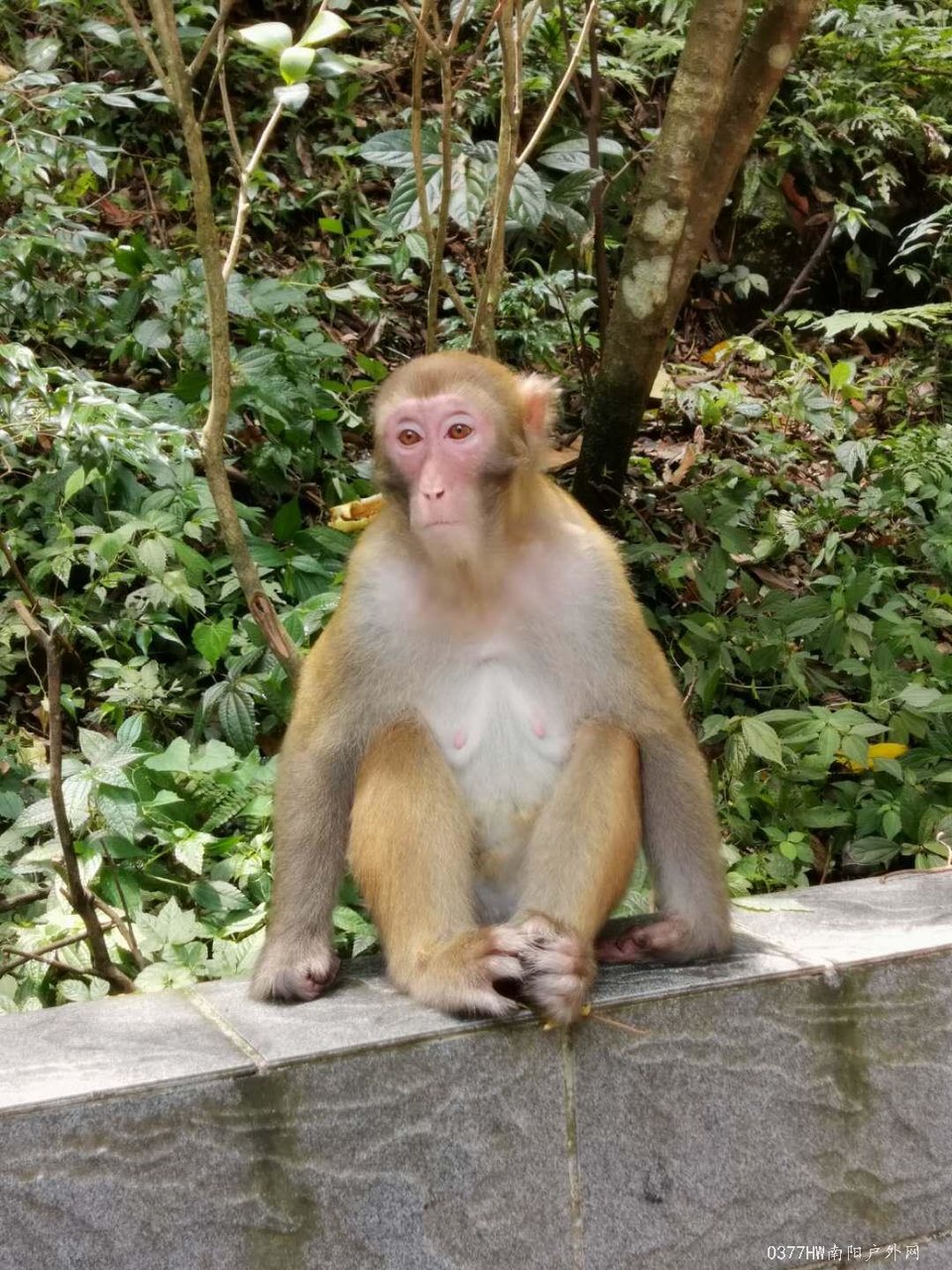 ocro36xdzgbkVpDRyoYBsV9qprynZh172ANQ6nuEIbVDNUGAVVt7bkvQNGXd2fjh