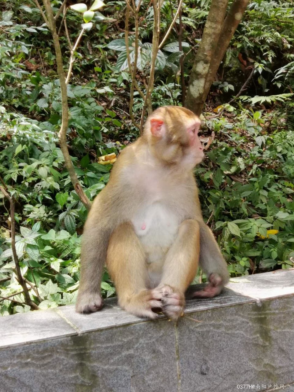 kil6xt6Gvzotg3QDlXbNUkYen-h7QXlYffMQPzUIgSqjsbkZSgghW6uTmFi5NfNT