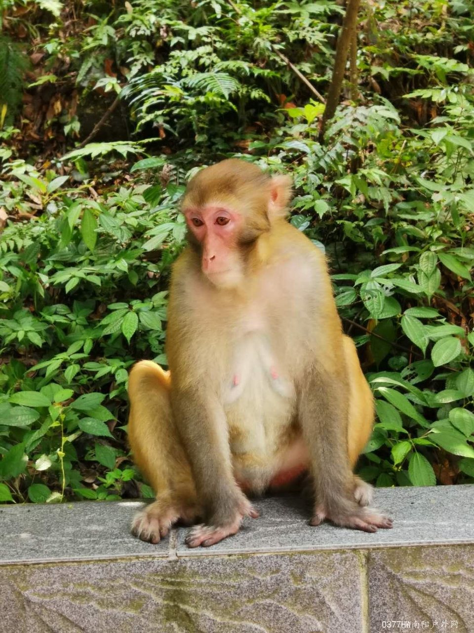 yqVqfMmURLfRD4wGAkFp_IXt6NVZZ2Fwj1Q-88FH7uAxiEfCnQVIz3KaqLHTT_S2