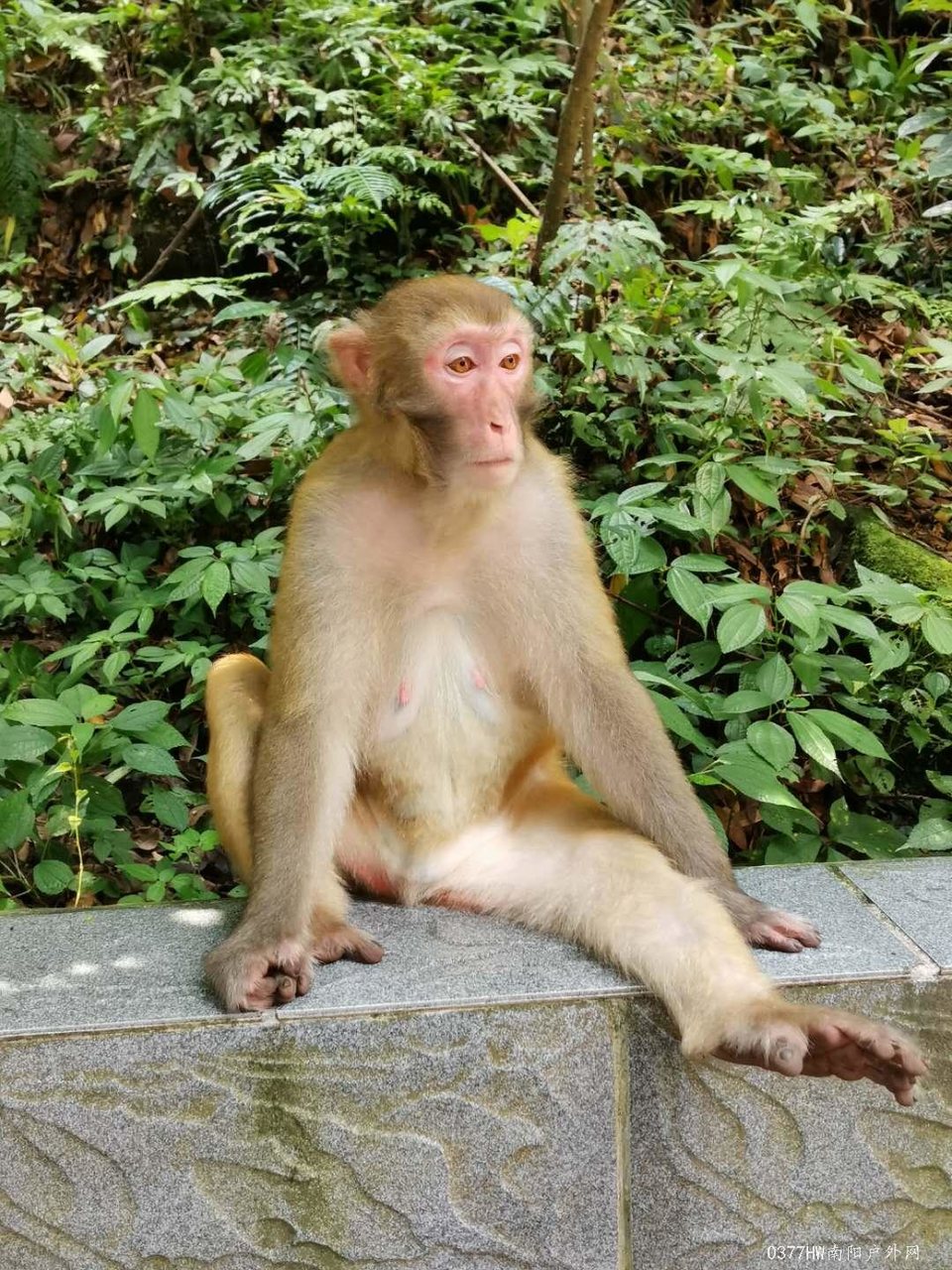 2JEG8U9cSOX3lzxXa4jUhwnSAtbqJX6WVXDeo_JWwu8D25YFUmAMOSl3a4owYrMm