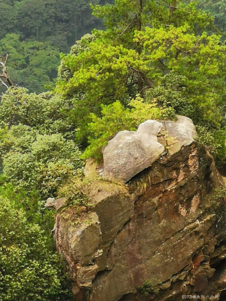 xa7DMzFGcWdRj28tqOaNVSpnRcFo1q6S82UkdekDf8pwp5An-xnr--IUxaLhUGku