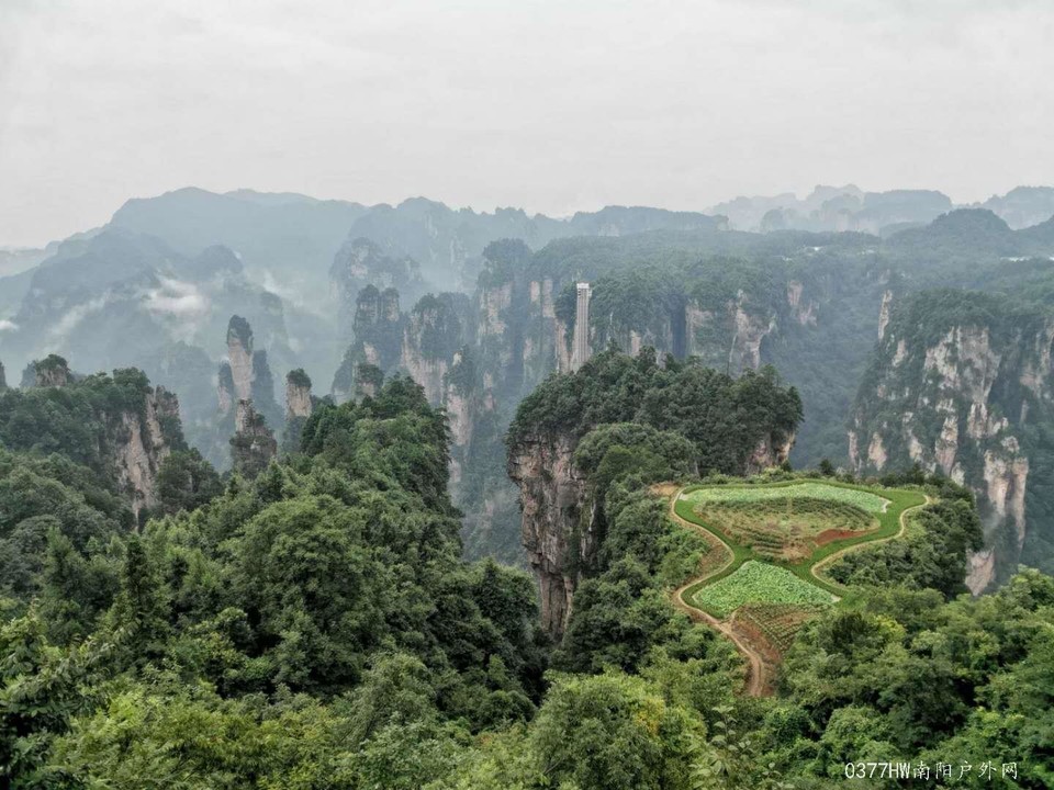 gqsO0oIzL8y7AWsGhLUIp4Rc-KT9eq4_PY2juGAxrLYy_ngO-l3Uz-vz_gT78ZSW