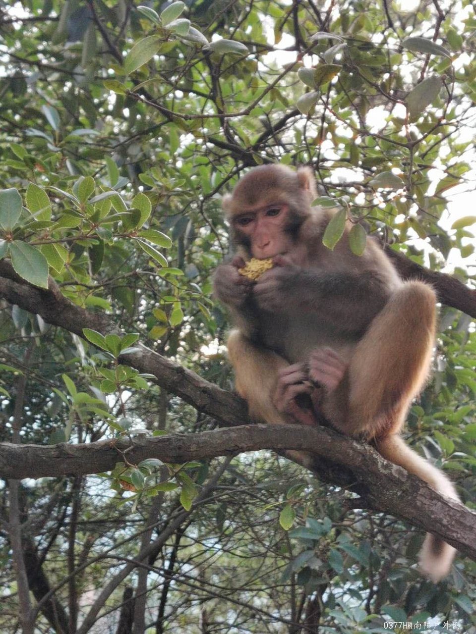 ootToAxC67Dd2SOghWqZLzFfpc9uqr0s_Ehdbtz0J9Pp5HqYzncDy4CvDqN-0LLu