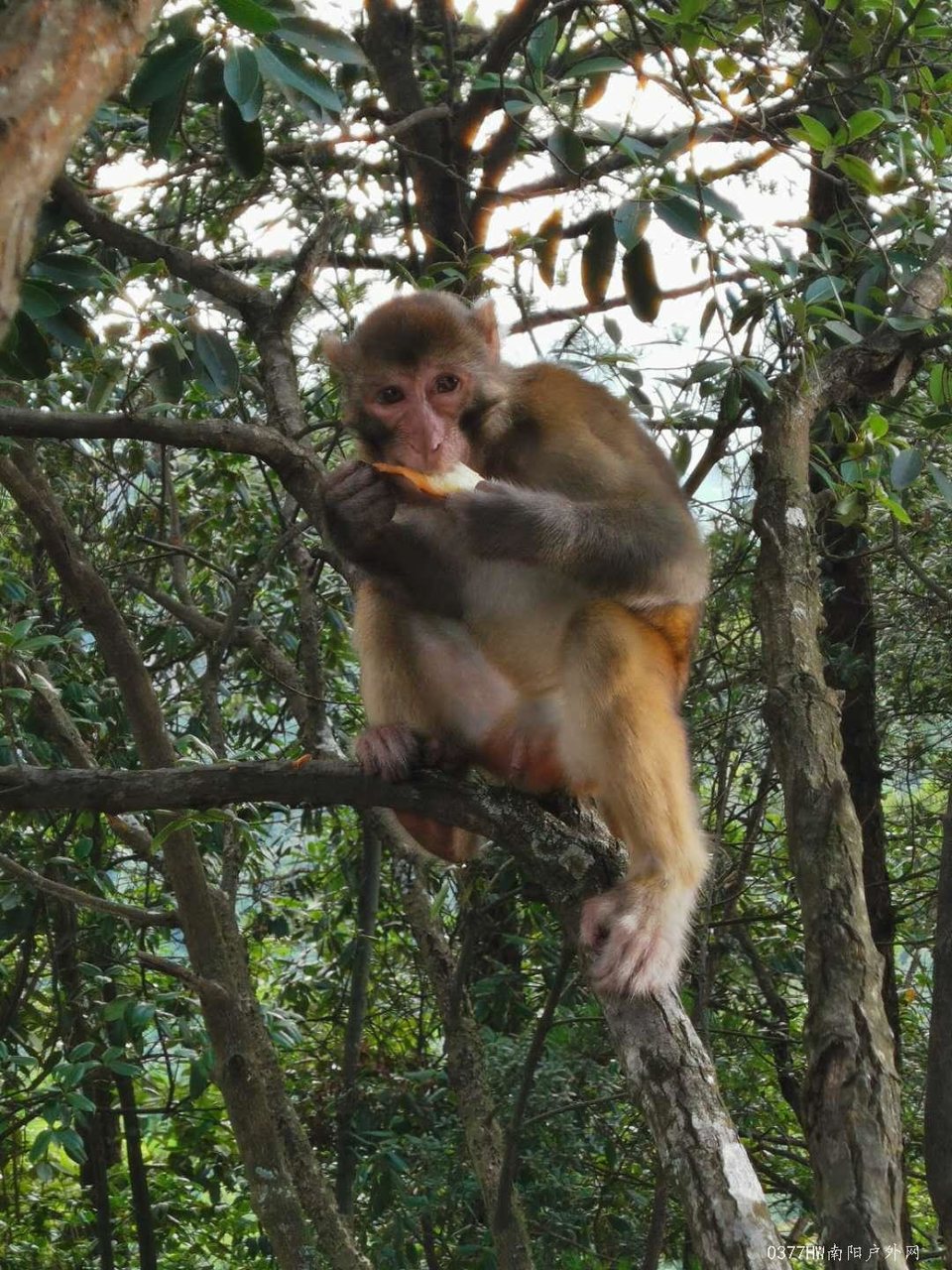 cJoCPEytBV_gC0NGB6cucdBT3t0EW_qkJhIAZzg2dYgOWdi4MqEw4y8WCP0_nvbz