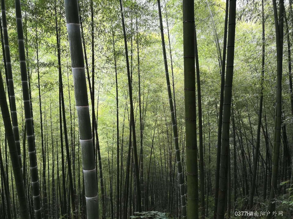 hgvQVwjs_udSCM9anGW3UI_ncueCYxyuHaoVBnMBXSME6E2S-oJhxq7CGZoIq84X