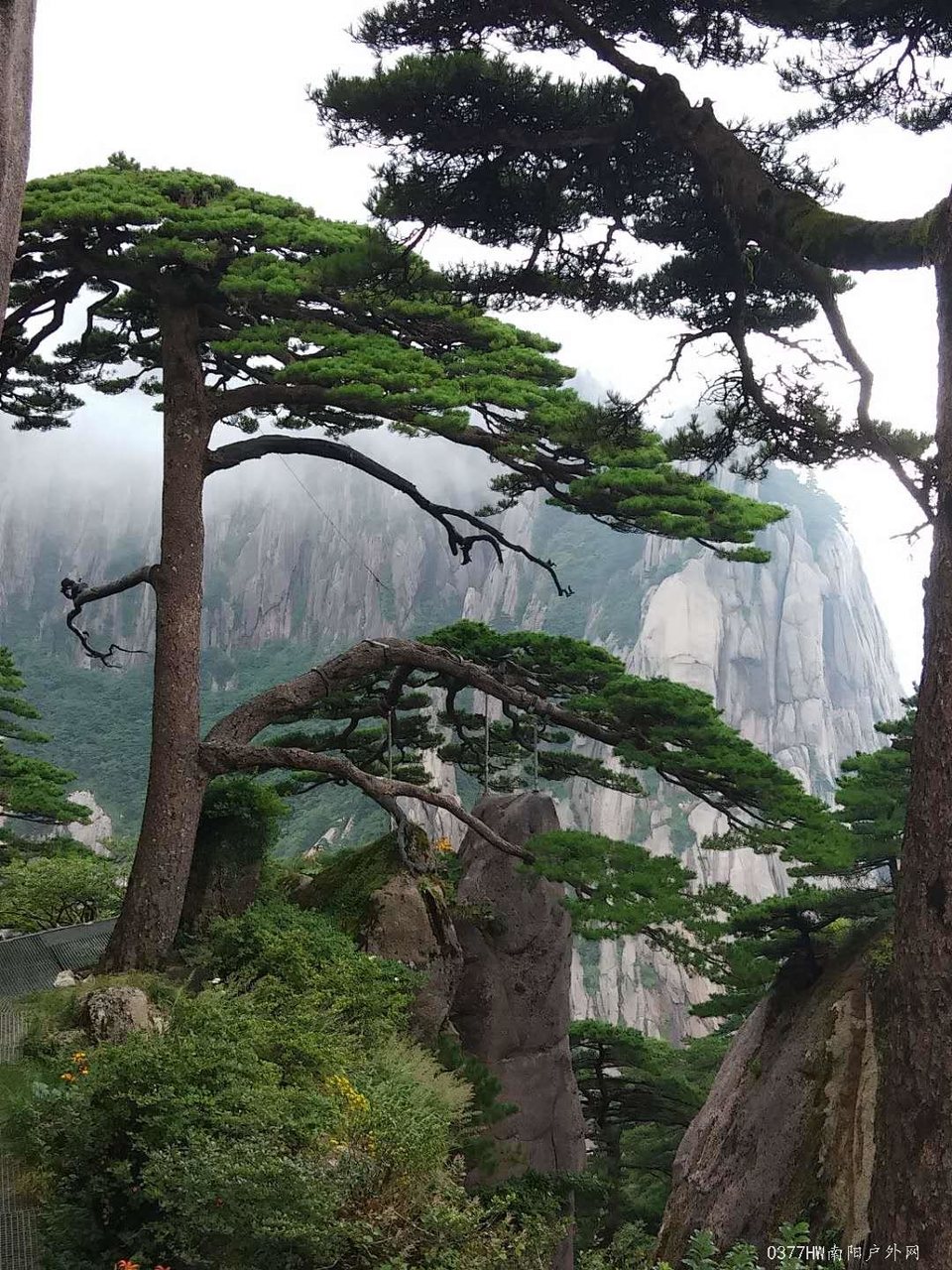 SZXNCoDARihboY8z5ULukYL94liaDa5Ut6l3usbApZ3c_fnuKGZ4-stZoC6QMLHW