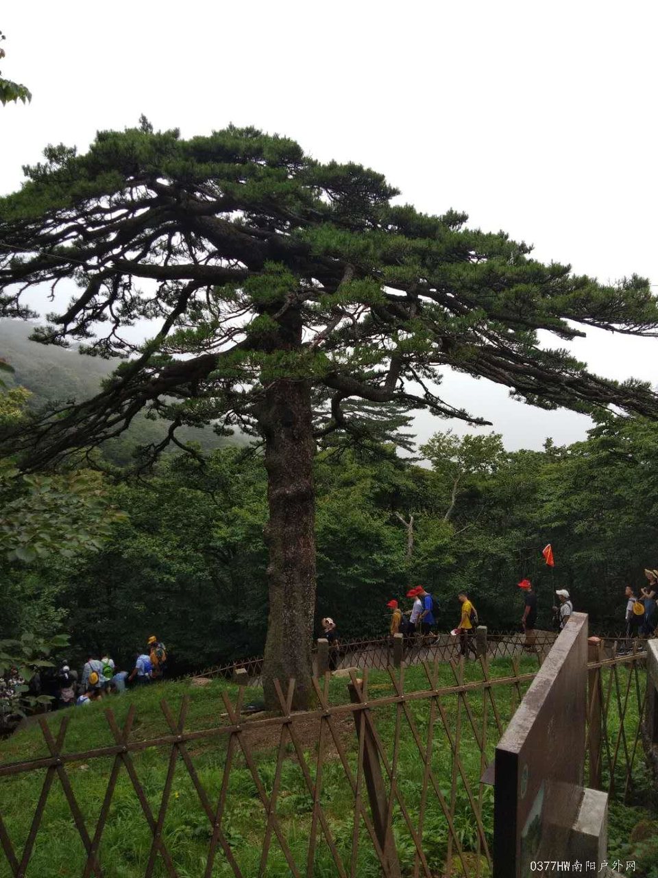 mS0spDCLnIlzUp7E_CvPu40SguM-vhn1sBW6cIqm3lU6H2VcN98waTPFJpF65PH_