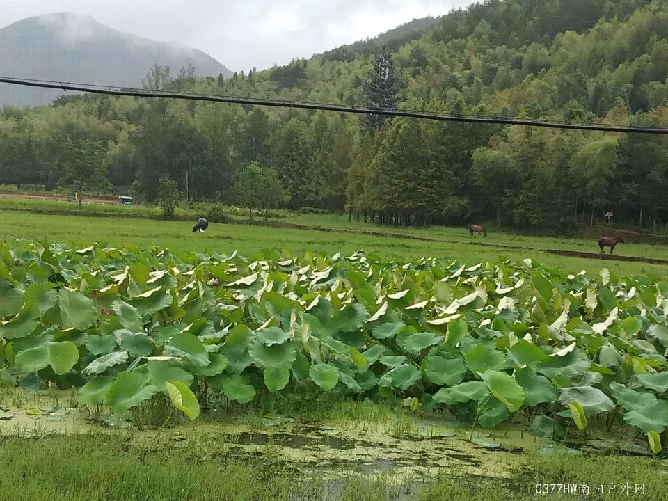 utLgXa-MAdH6EFGBWXjibaF5GEuIQ7iv41JIav-I95qJFFhrTyZUuOS-ERtDdrPE