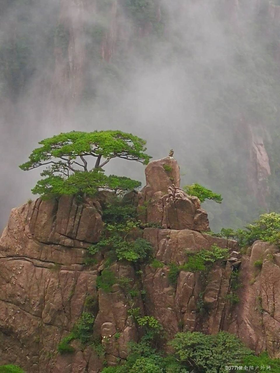 _WBxyX4oswwUhHO9_SX4q3gji4dABD7DY5Z6_y6YoF-YR_yBbeQ1hRQDNwyLsAzA