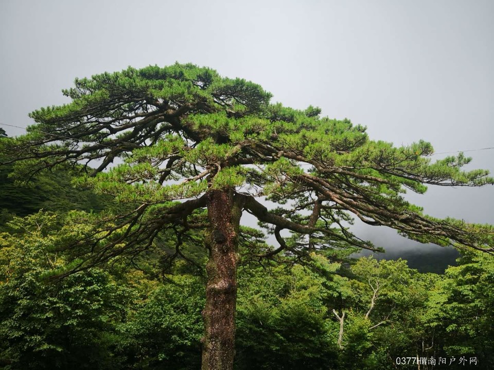 d3ioGBIm-ZPlFdnN_hqJ6AQy1hXxDaygGQudwyMdm04y-tbO6kED6Nx5LiUzjNr3