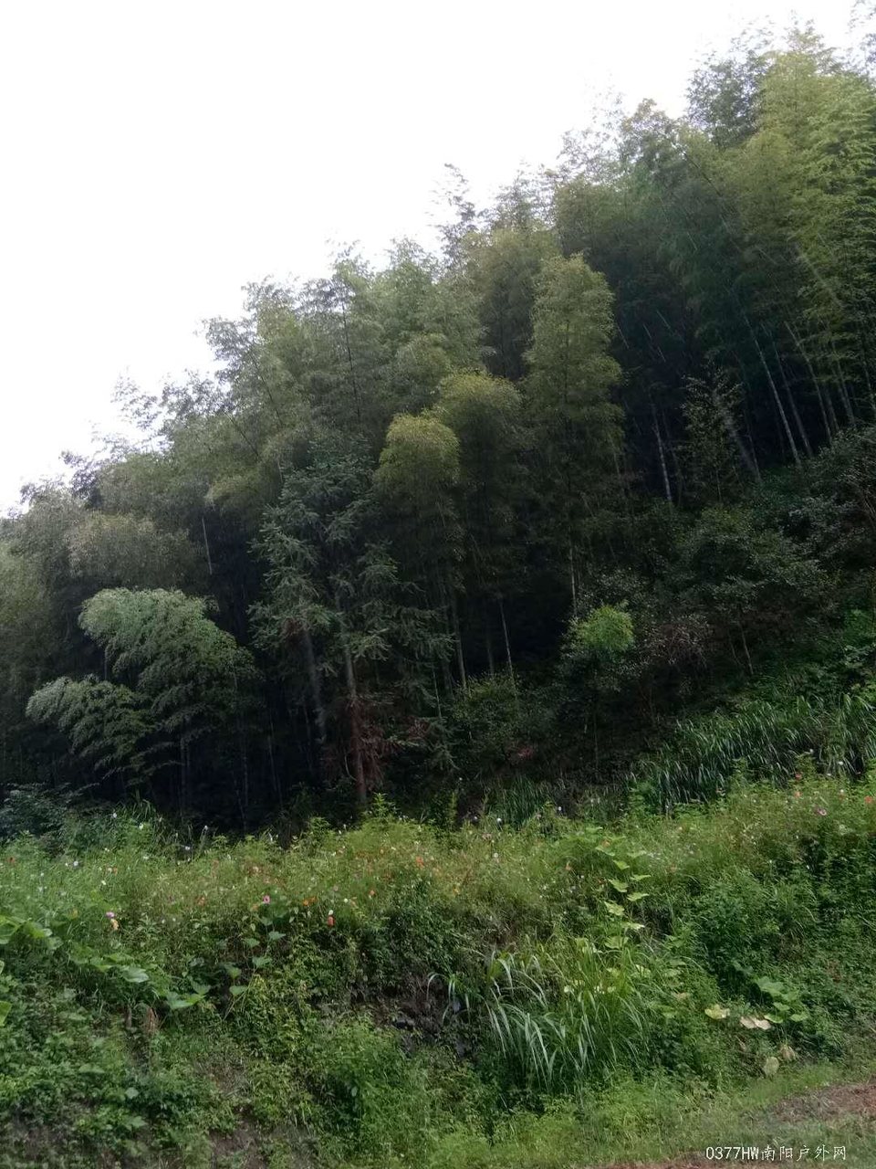 LS32M7LPibqtT-clpOQ09XezVi4PuSIcxnOL_b1wNsr9z06dx7acg2i3CV0vw9xn