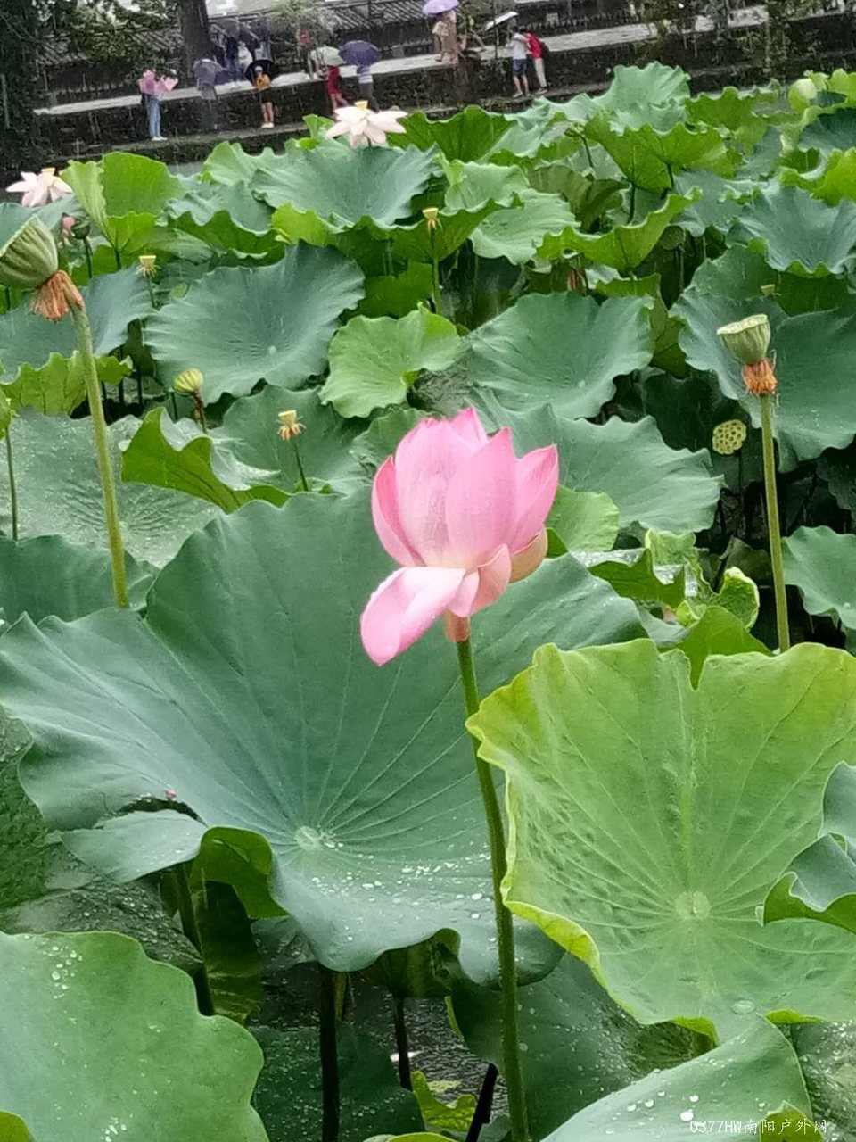 GTuDVN2POHJ3inCOZJn_9Mb10brZvbK0x3nu_vv0xopeBP4Q3n87ZM0KIi5yqNhB