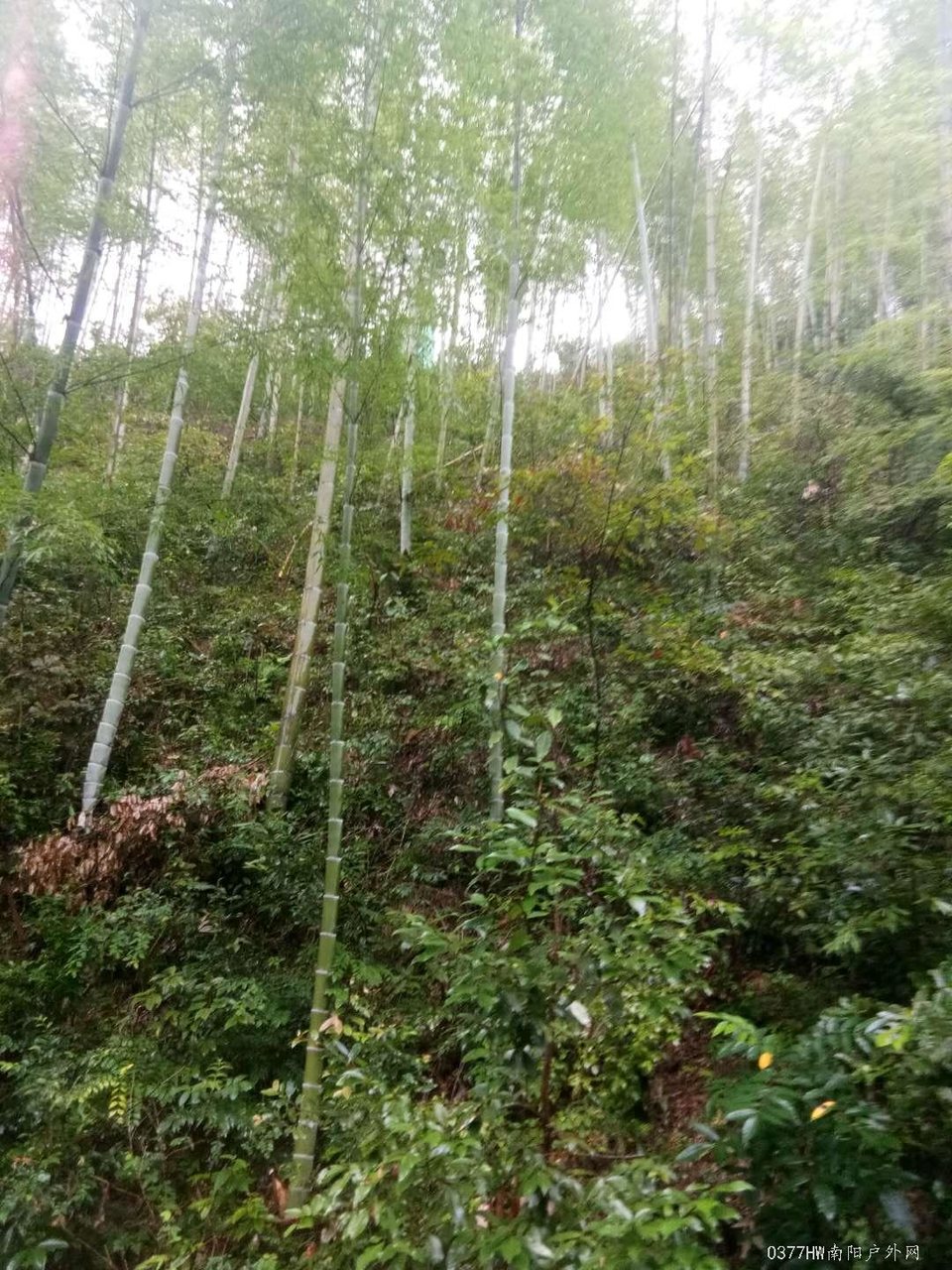 FmRmt-8tGb9OVyju_InyMaPsMvcOvqXO5V3uSjzI7UaSl0XBjWj8qIwUyoEWCpqe