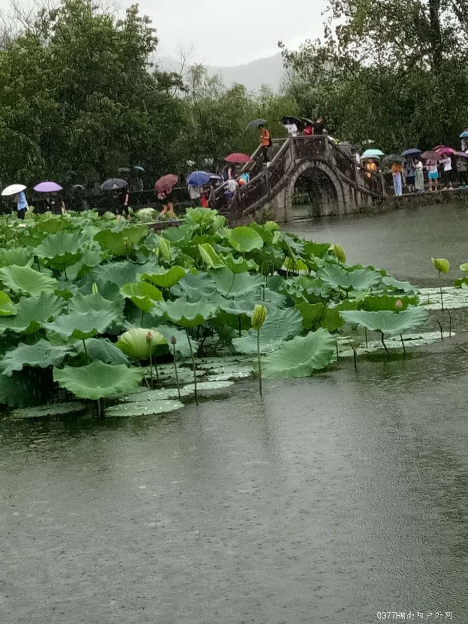 YA91nvEEJDyb_Y7teIicR8xlYX-Z_oEoYd-19AcA6IXtsrDacz6SIfFmtBM8PHXz