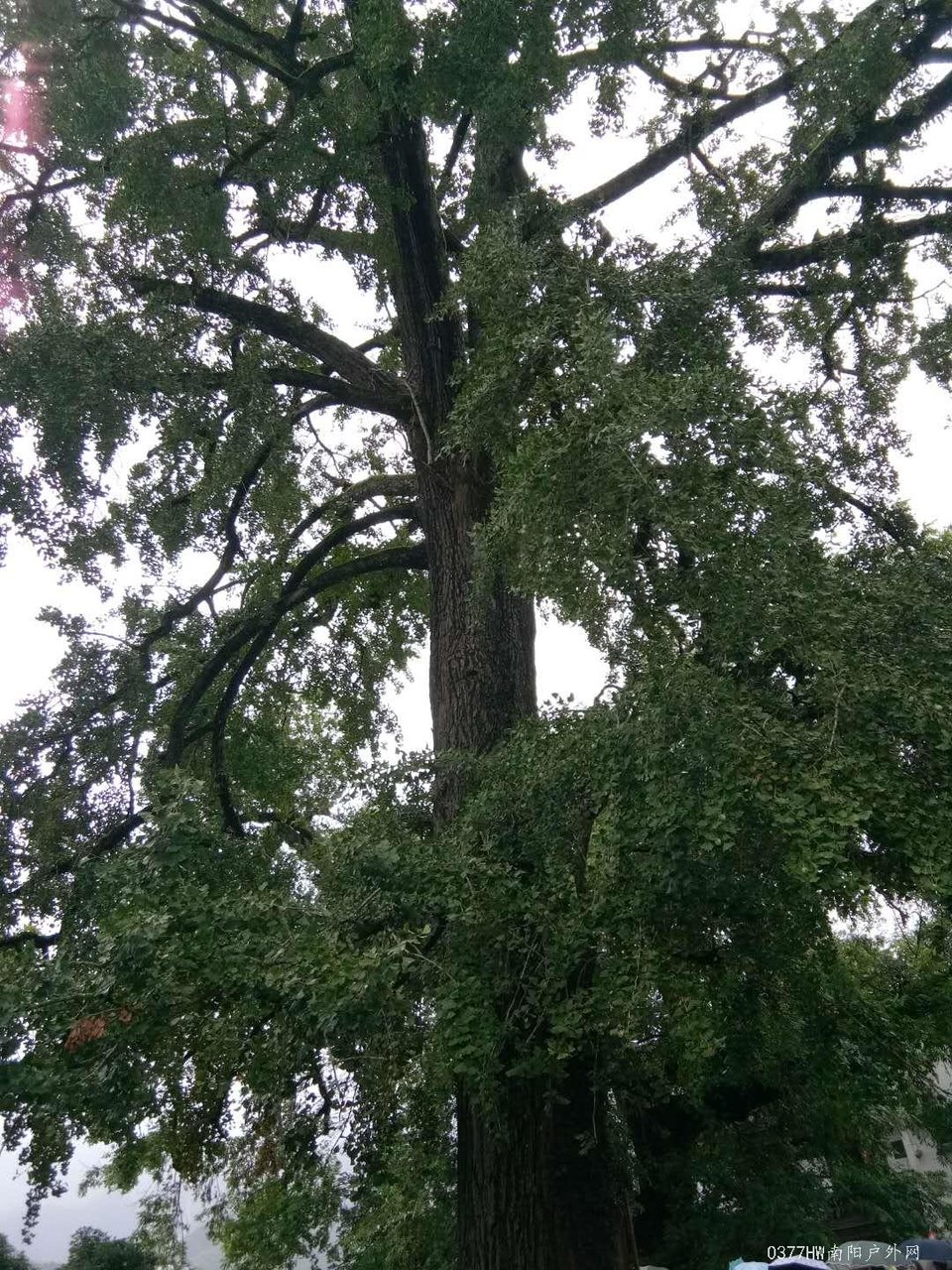 7I4hNazMJZ5Ex6M4kZrNDg0dWLEGCJAOXudVlMLqJobsIXWCKR5CXvuR_88t5aCS