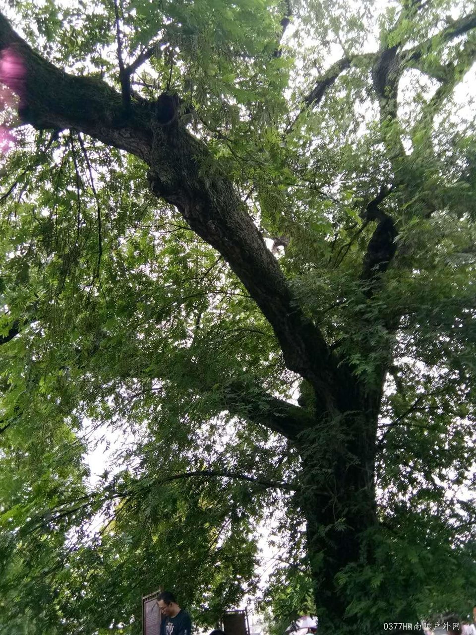 9T6eVUonT9s8hATPbnQZO2NlAK7zDOCdyrDfnu-4tttFyO-G-VXYvR7Lq35yQP8v