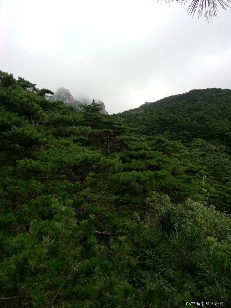 PkaNnQOaQ0xWEK26ZMpCaFnQCltmVt4SzHh7wwhbqU7Ri7sF0J41p8tAMU5omIHB