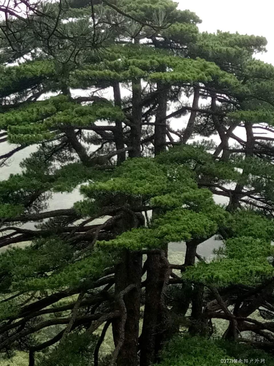 uyheZY9q6DdqvHlmUxKC2e7gEnYRaXbLkQNETb5hEUZkZMIewQpZyoCyFSNbexkB