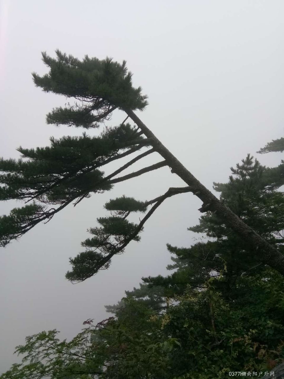 _bTznd5AjVRcZ-fhQlhK1y56tx4Ca2rjEp8M0yQlsmVSHdRzxD8FywjrqZ4cYNyy