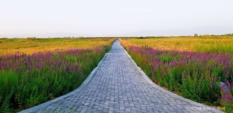 GHgZnc3dhUjXAfCq4FYzgvwdJBOWGGSjvvqWfrqkx6ntenUTMn15du8lewojctau