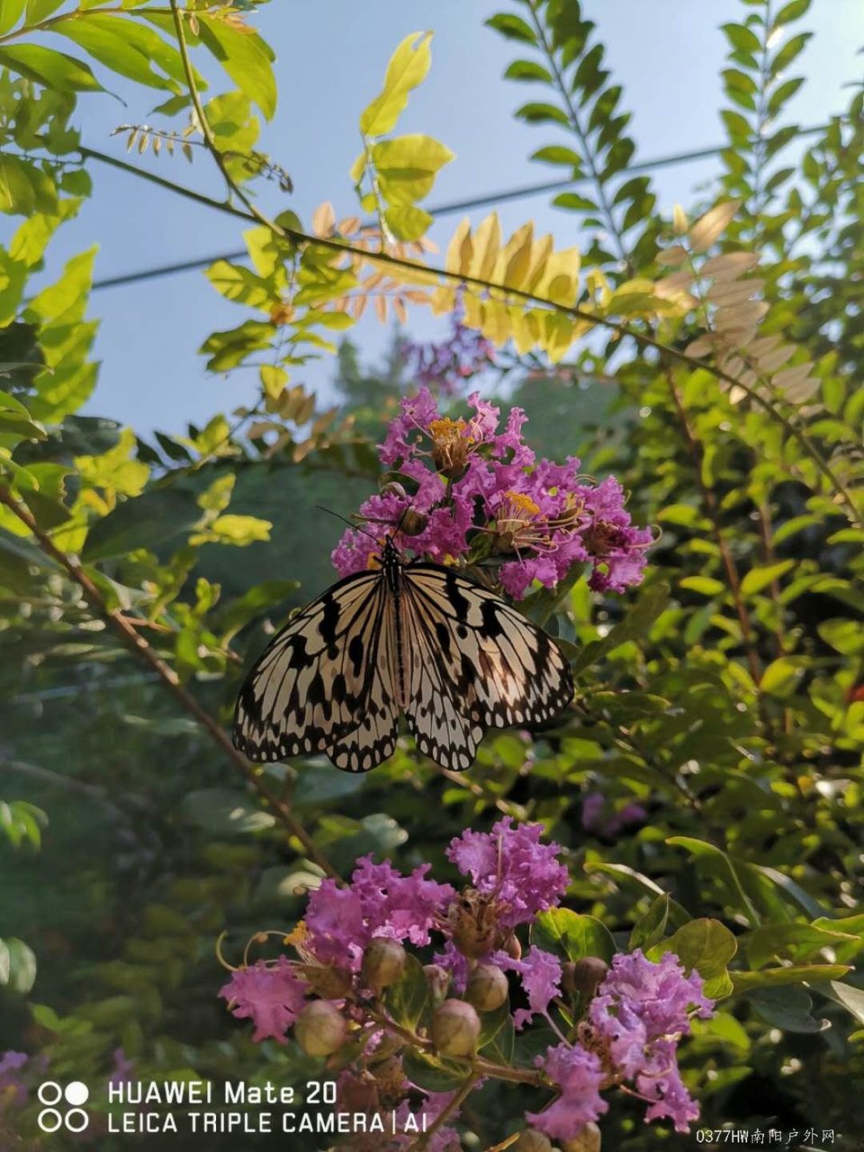 qWeVIjwA3tRb2yNUGl7ZlUUyvfgSABEg1T38_uey25zqf3Dd7OUgWhqcroJQUyD5