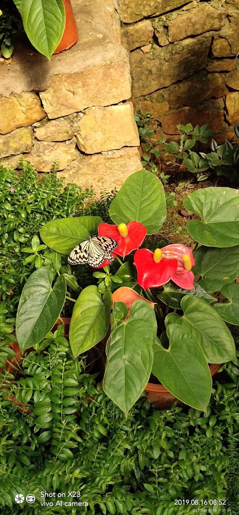 sF2IiiSoYK1dgEma0x08K-MxAS30pJaFS39J91K0AFEhEO4o-I22KlonDIRL2-V-