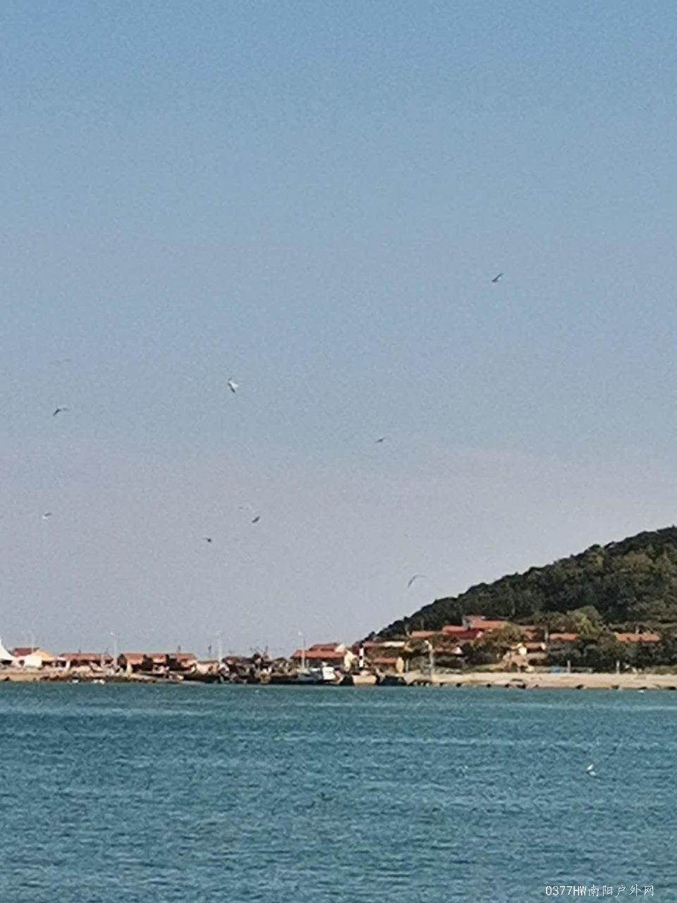 9Q6w4zCtRiy3P6fPfSarF1uG7DV8qoH0htseZsHT1h6L03v-pVh-71smX5pMSMUC