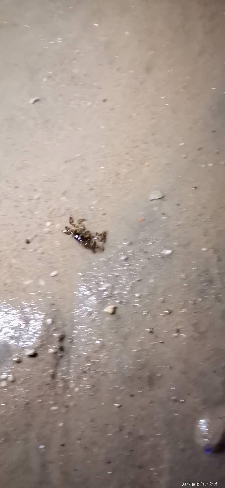 tnxx9ruFdKtDqB0FKyzPrHFXq9PRo1TGboS_jS5RCFHhfUaxromwWt8EtpvYzN_Q