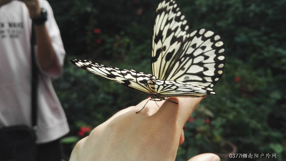 OswPWBTH4ZlZ0LJIgqLuwr8PYPdU8-Y6vZKgJRKsvElLluLCfo9DuH_BpVjFkNro