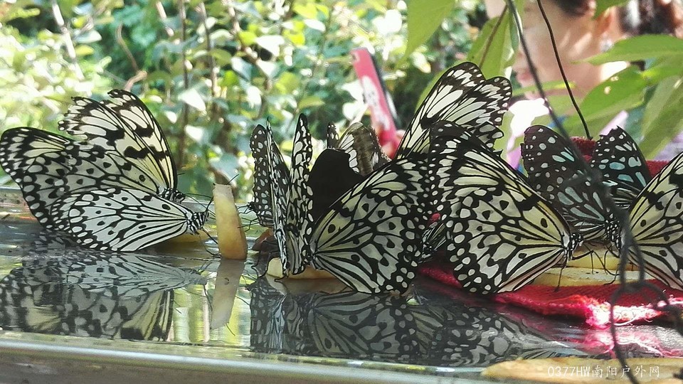 Nt0CV_8_6EaAteGybiFvpWvQrJ1V9ZeQgD-0RWV7vqdS-PrCxfNfN4p9JjCOochy