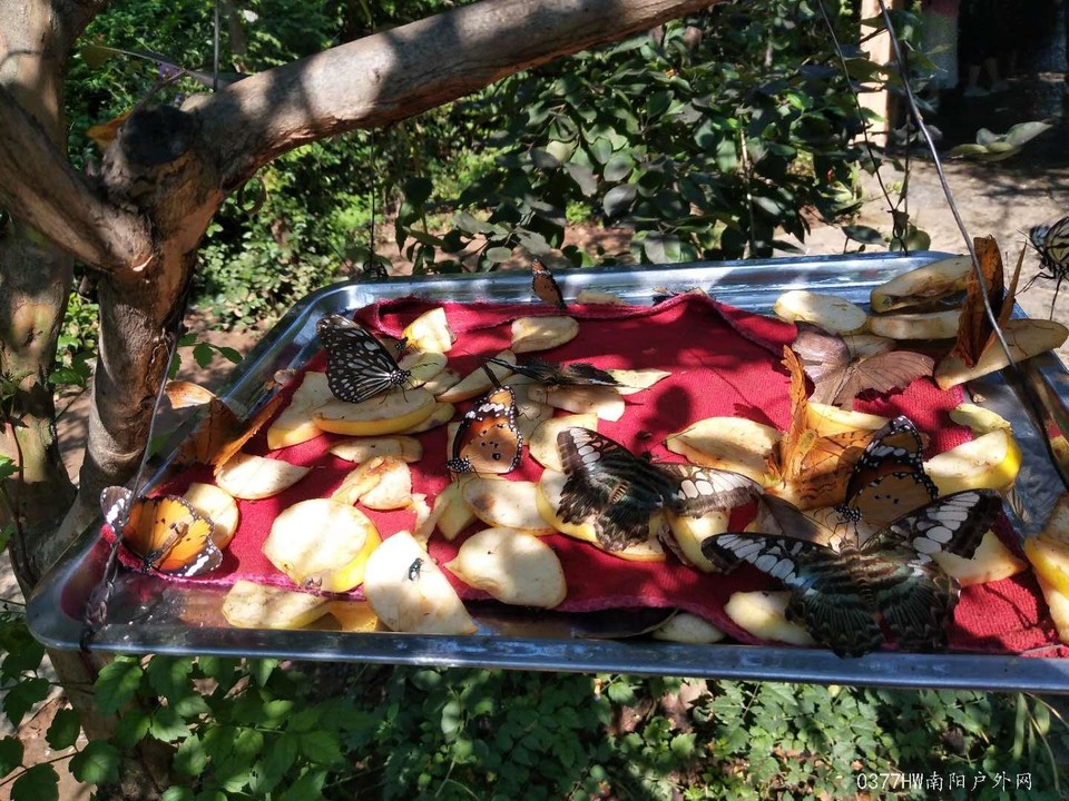 St4NKoK1In__7C17iY43wxQXwrppq44oSfBSi4U2P7r-n2QpIRu4-P9fdb8_p1eP