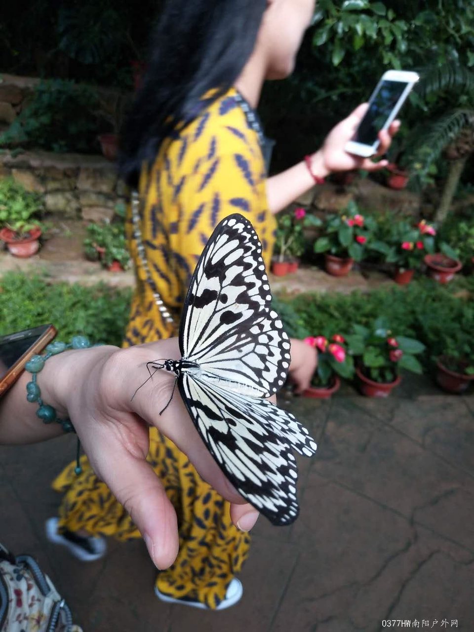 34qS6ZqVQtrQWNF0-jb0L2MI9SATCj1n59CyTCEZ1ahb0GgJybjNF753x7owMOqK