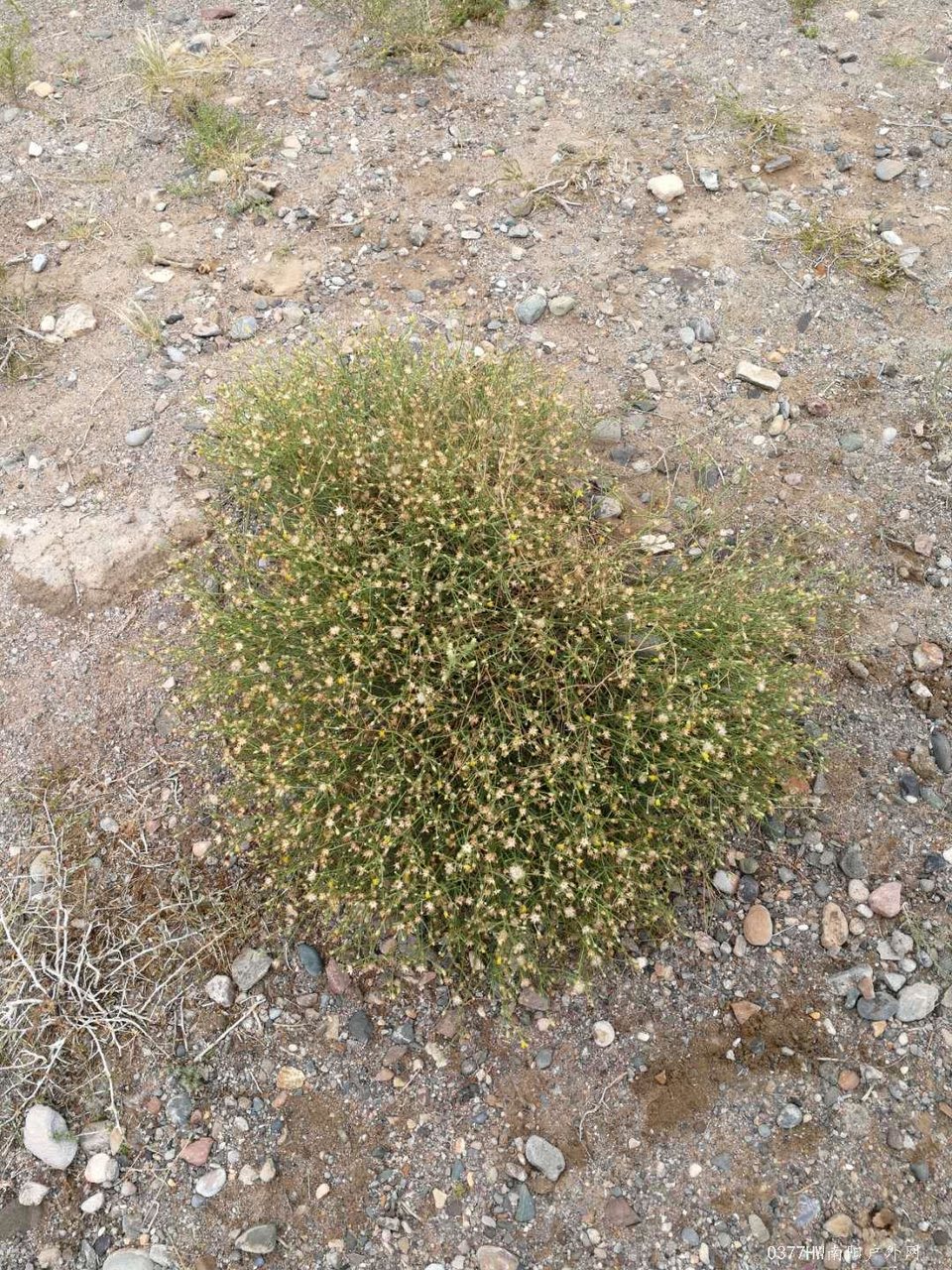 Jh-CPYPrPBkxfY3lCrjeQ18ohEIUIFzvT37kGBuKzx96BNlQ2gYXkMKRAXa4y8hY